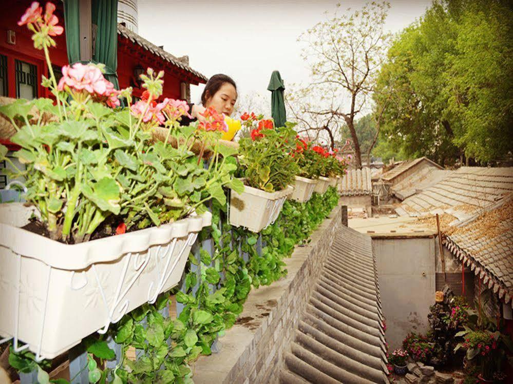 Beijing 161 Lama Temple Courtyard Hotel المظهر الخارجي الصورة